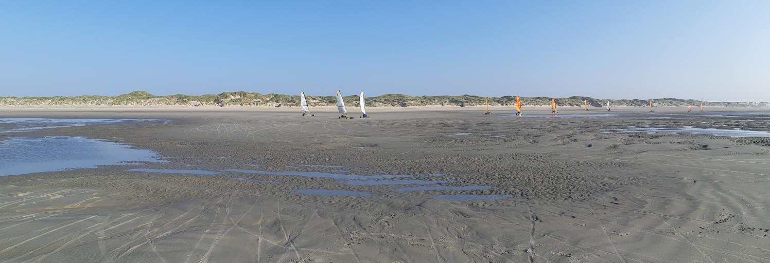 Les Voiles du Marquenterre